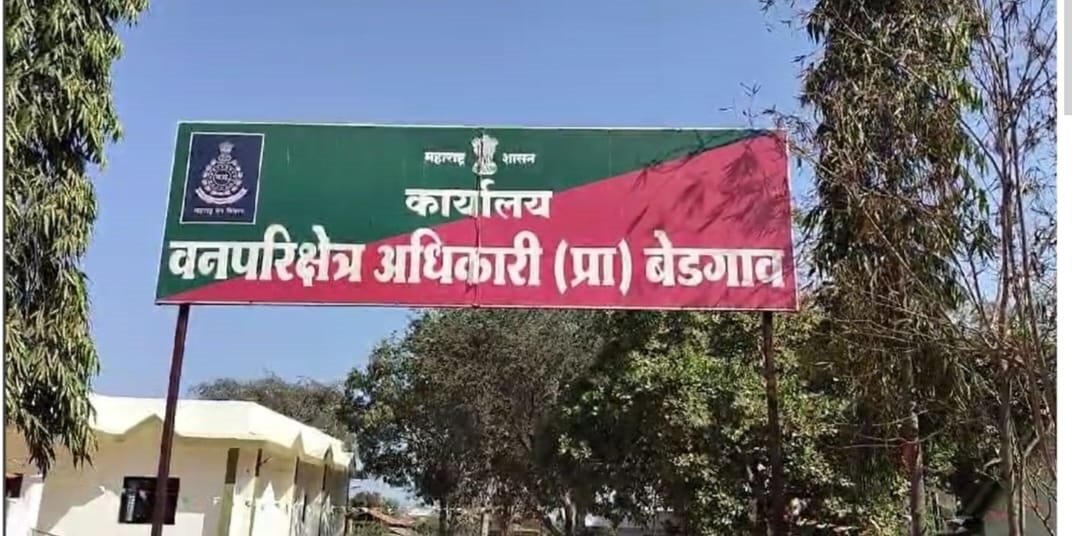 बाघ, तेंदुए के खाल की तस्करी करनेवाले चार आरोपी गिरफ्तार